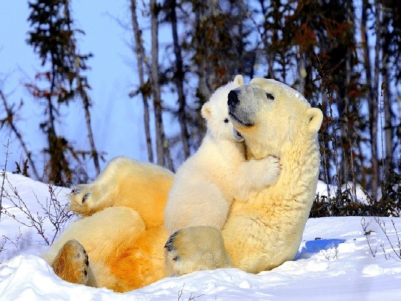 张女士成功案例